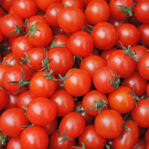 Fresh Tomato