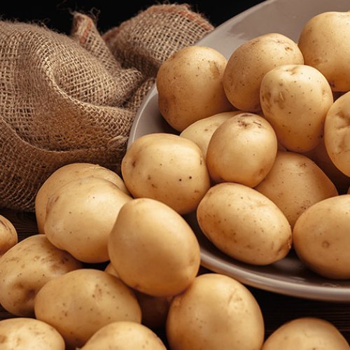 Potato